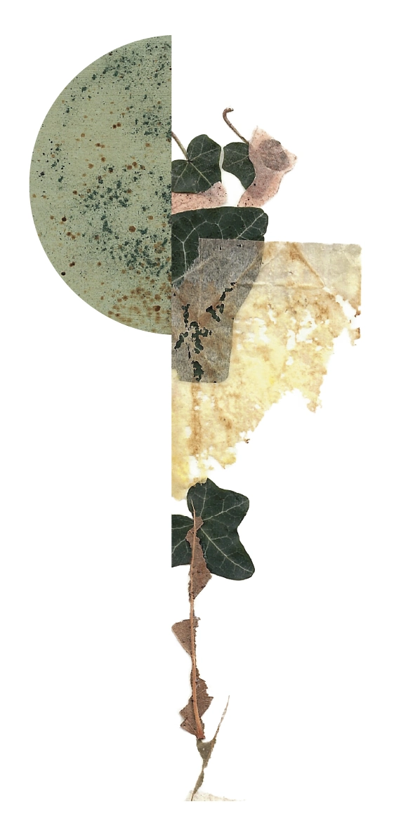 Back to Gaia illustration